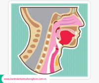 [TPHCM] Ho lâu ngày không khỏi là dấu hiệu bệnh gì?